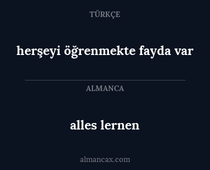 alles lernen - herşeyi öğrenmekte fayda var