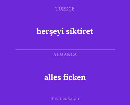alles ficken - herşeyi siktiret