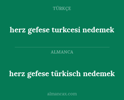 herz gefese türkisch nedemek - herz gefese turkcesi nedemek