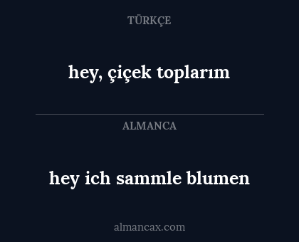 hey, çiçek toplarım - hey ich sammle blumen