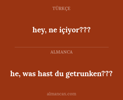 he, was hast du getrunken??? - hey, ne içiyor???