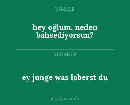 ey junge was laberst du - hey oğlum, neden bahsediyorsun?