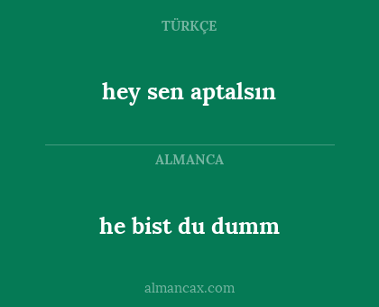 hey sen aptalsın - he bist du dumm