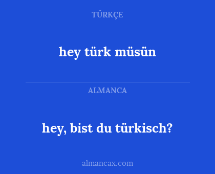 hey, bist du türkisch? - hey türk müsün