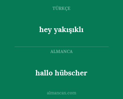 hallo hübscher - hey yakışıklı