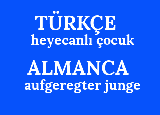 heyecanl%C4%B1+%C3%A7ocuk-aufgeregter+junge.png
