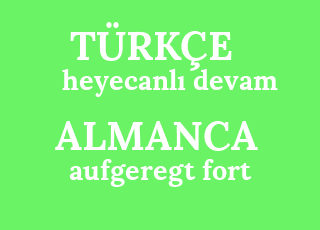 flört turkcesi