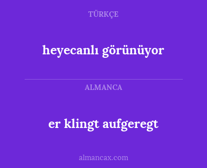 er klingt aufgeregt - heyecanlı görünüyor