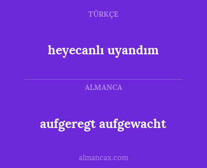 heyecanlı uyandım - aufgeregt aufgewacht