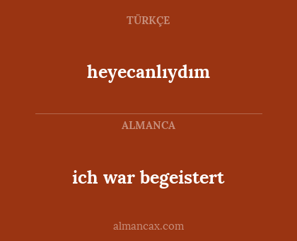 heyecanlıydım - ich war begeistert