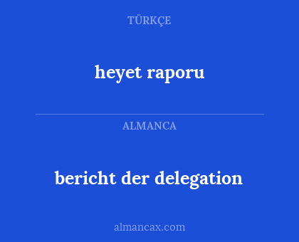 heyet raporu - bericht der delegation