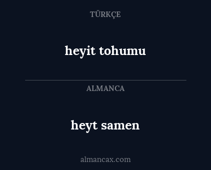 heyt samen - heyit tohumu
