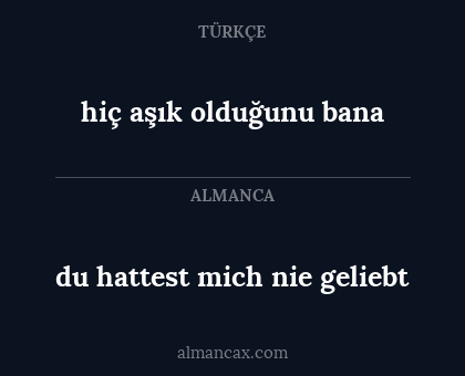 du hattest mich nie geliebt - hiç aşık olduğunu bana