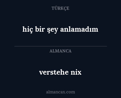 verstehe nix - hiç bir şey anlamadım