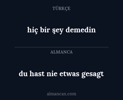 hiç bir şey demedin - du hast nie etwas gesagt
