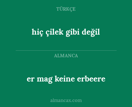 hiç çilek gibi değil - er mag keine erbeere