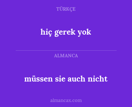 müssen sie auch nicht - hiç gerek yok