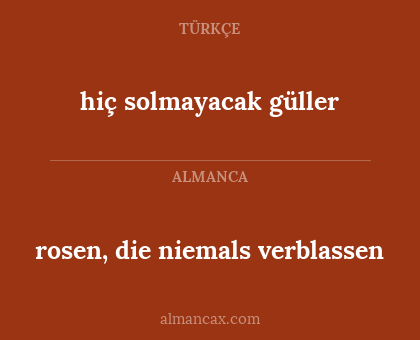 hiç solmayacak güller - rosen, die niemals verblassen
