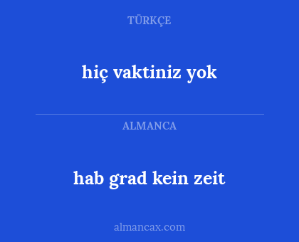 hiç vaktiniz yok - hab grad kein zeit