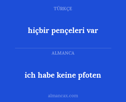 hiçbir pençeleri var - ich habe keine pfoten