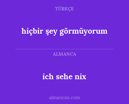 hiçbir şey görmüyorum - ich sehe nix