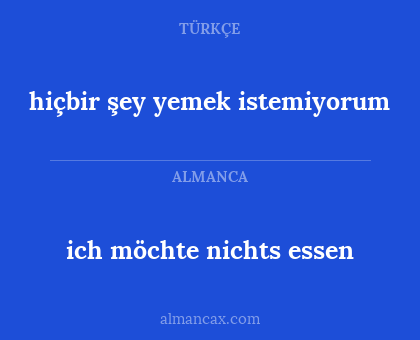 ich möchte nichts essen - hiçbir şey yemek istemiyorum