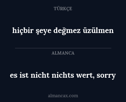 es ist nicht nichts wert, sorry - hiçbir şeye değmez üzülmen