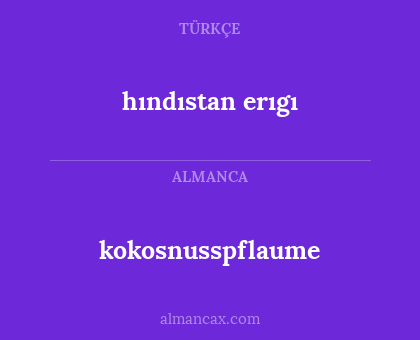 hındıstan erıgı - kokosnusspflaume