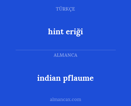 hint eriği - indian pflaume