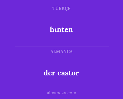 hınten - der castor