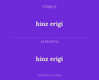 hinz erigi - hinz erigi