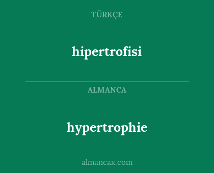 hipertrofisi - hypertrophie