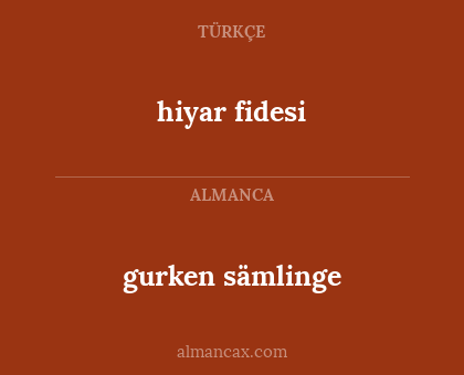 gurken sämlinge - hiyar fidesi