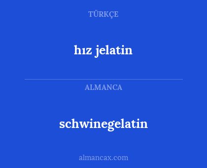 schwinegelatin - hız jelatin
