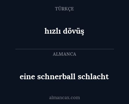 eine schnerball schlacht - hızlı dövüş