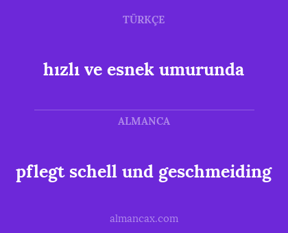 hızlı ve esnek umurunda - pflegt schell und geschmeiding