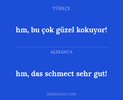 hm, bu çok güzel kokuyor! - hm, das schmect sehr gut!
