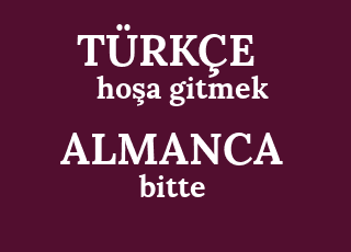 ho%C5%9Fa+gitmek-bitte.png