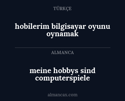 hobilerim bilgisayar oyunu oynamak - meine hobbys sind computerspiele