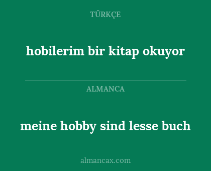 hobilerim bir kitap okuyor - meine hobby sind lesse buch