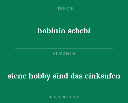 siene hobby sind das einksufen - hobinin sebebi