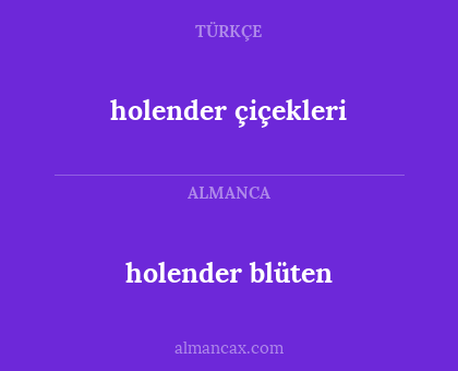 holender blüten - holender çiçekleri