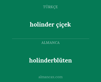 holinder çiçek - holinderblüten