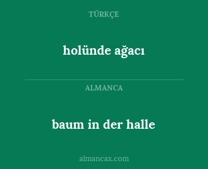 holünde ağacı - baum in der halle