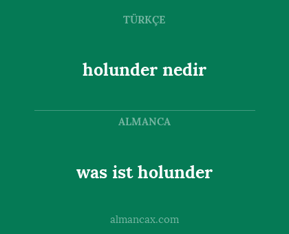 holunder nedir - was ist holunder
