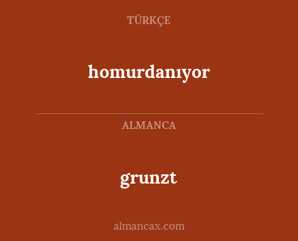grunzt - homurdanıyor