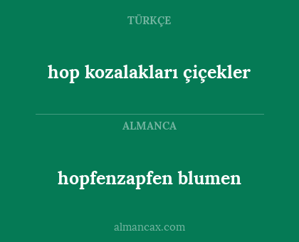 hopfenzapfen blumen - hop kozalakları çiçekler