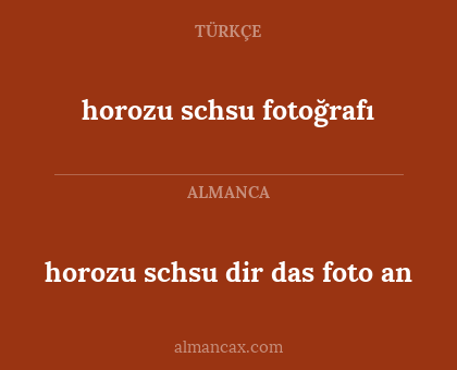 horozu schsu dir das foto an - horozu schsu fotoğrafı