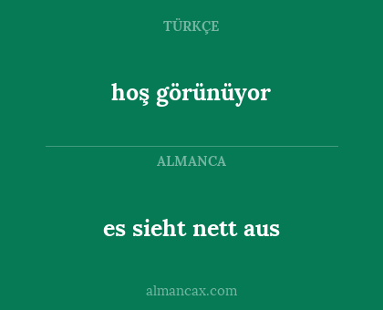 es sieht nett aus - hoş görünüyor