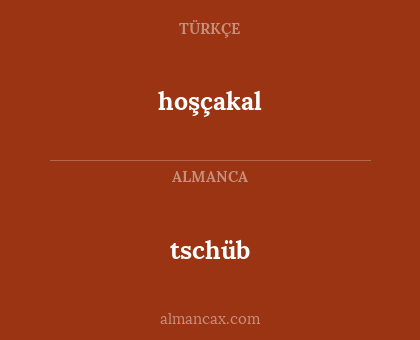 tschüb - hoşçakal